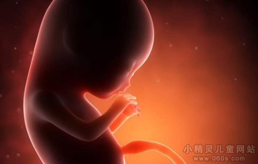 2个月胎儿发育指标 2月孕妇身体变化